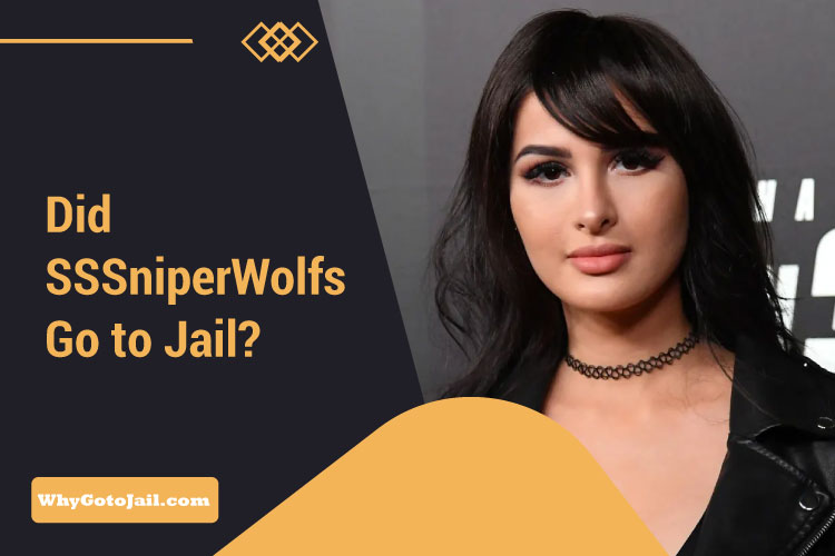 Did SSSniperWolfs Go to Jail