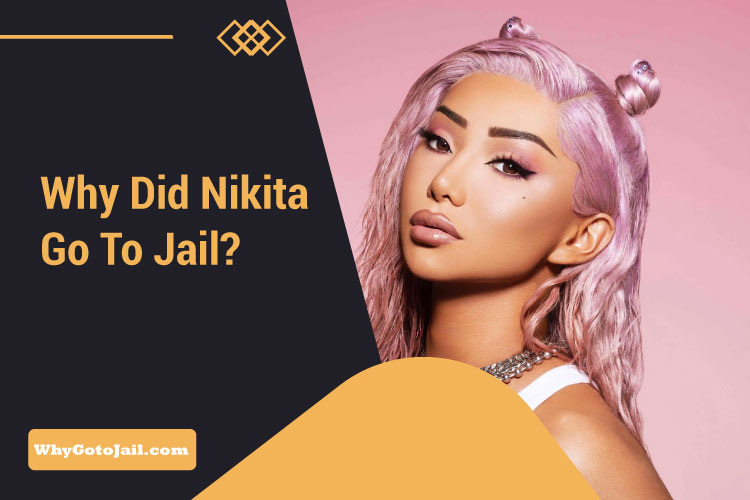 Why Did Nikita Go to Jail?